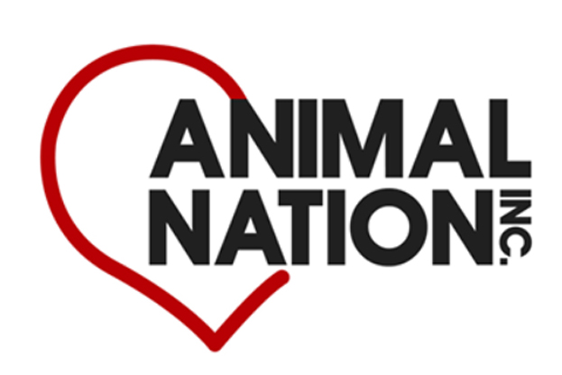 animal nation rye lawsuit