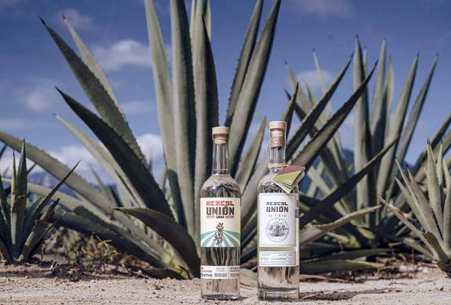 Mezcal_Union_diageo