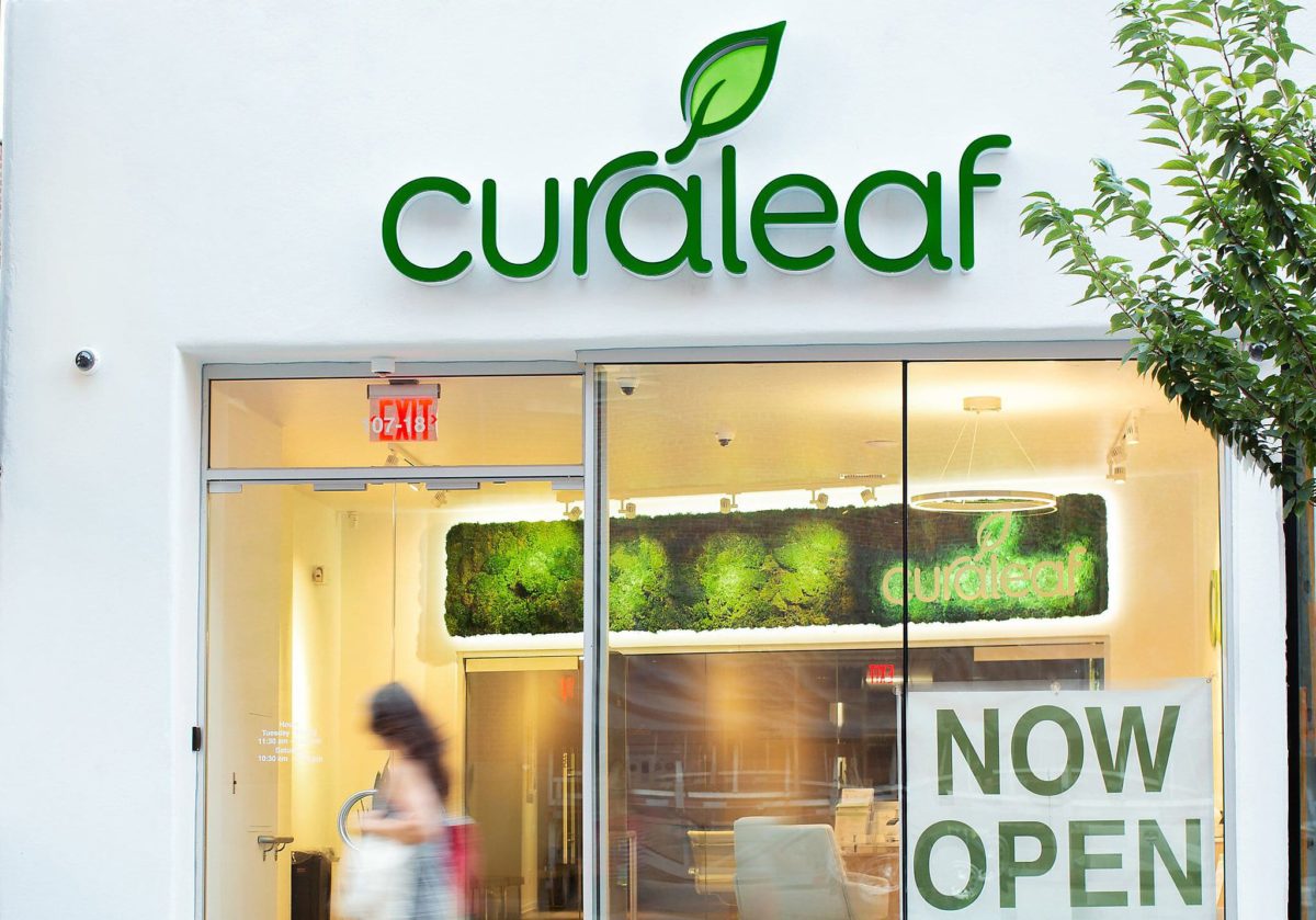 Why wait? Curaleaf, nation's largest cannabis company, says get medical  card now, ahead of retail rollout