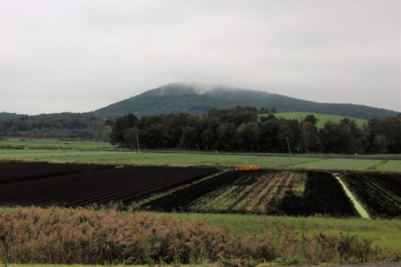 Orange Countyâ€™s Black Dirt region eyes hemp production – but does business model make sense?