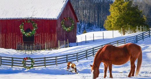 Walden equestrian and rescue center named in rape case files for bankruptcy