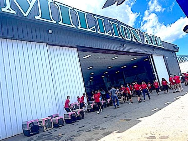 Animals in crates at Million Air's hangar.