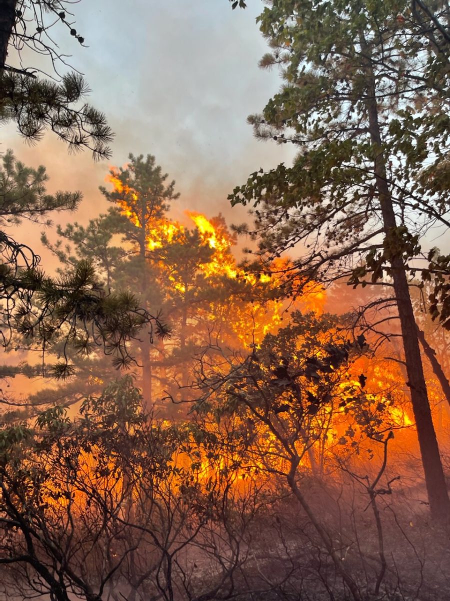 Drought and forest fires in the Hudson Valley