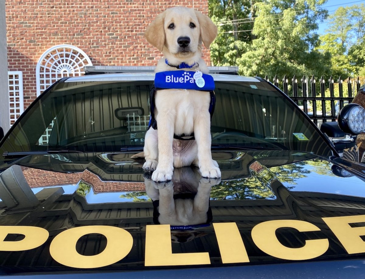Dog days come to Bedford Police Department