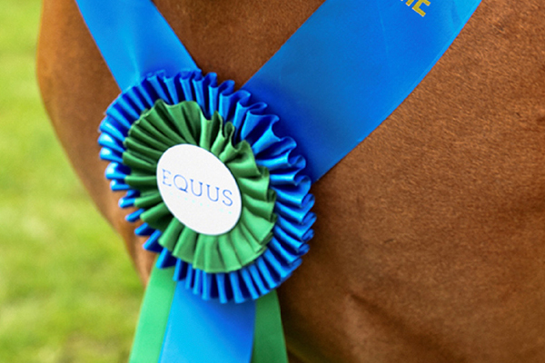 PROTECTING AMERICAâ€™S HORSES