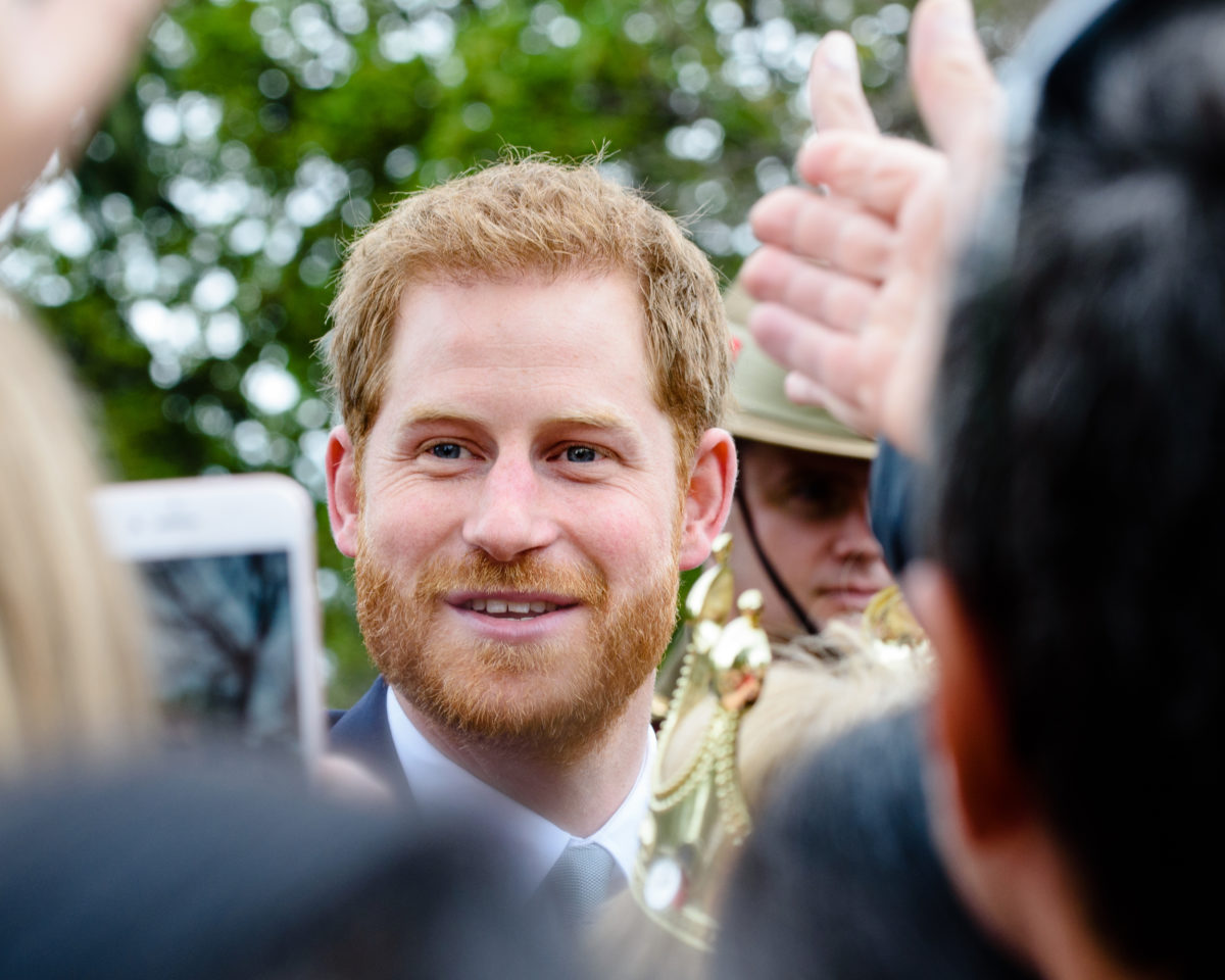 Will Prince Harry memoir â€˜Spareâ€™ anyone?