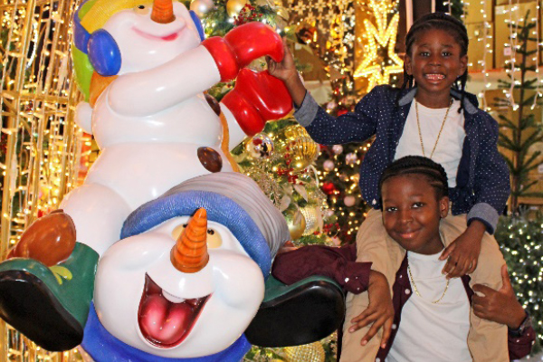 HURRY, CHRISTMAS TREE GIVEAWAYS LOOMING DEADLINE