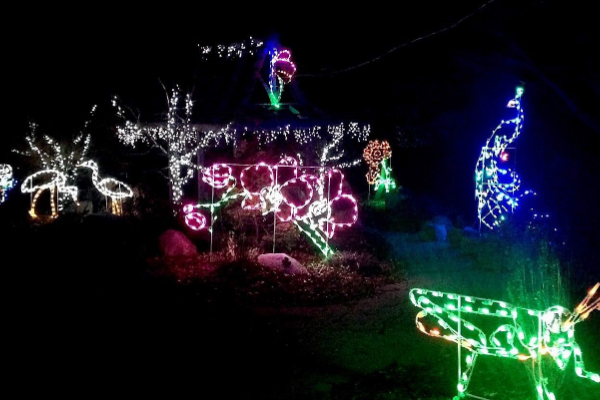 ORANGE COUNTY ARBORETUM AGLOW