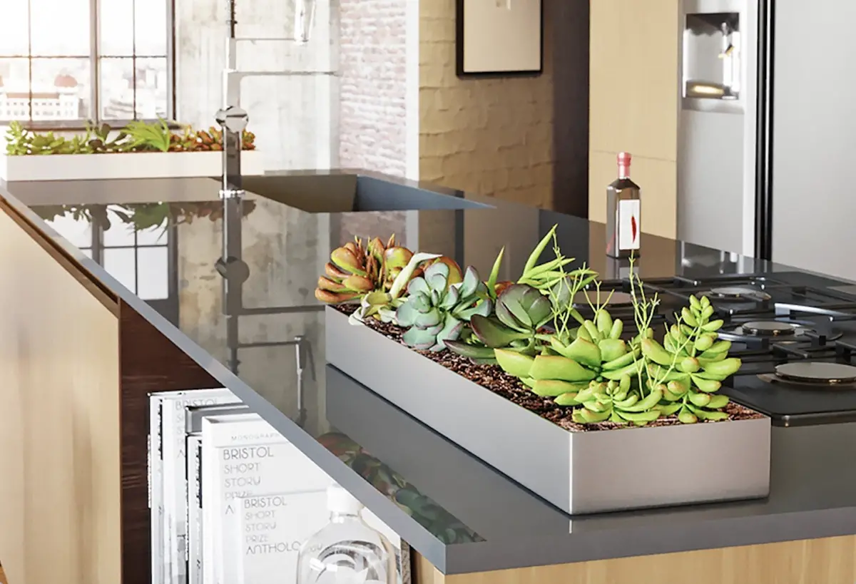 How does your (indoor succulent) garden grow?