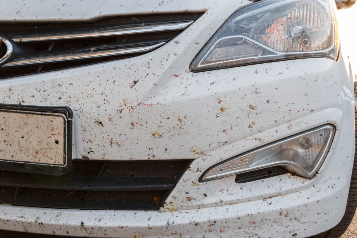 Buggy fees drive Mount Kisco lawyer to sue Sixt Rent A Car