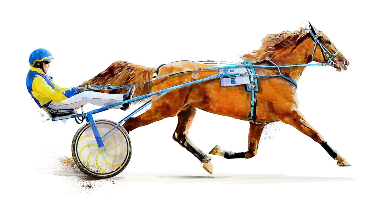 Prominent harness horseman agrees to clean up Wallkill training facility