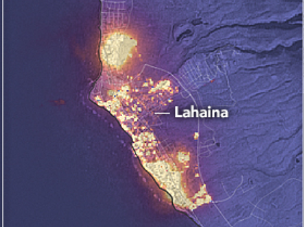 Race to find survivors underway on Maui: video