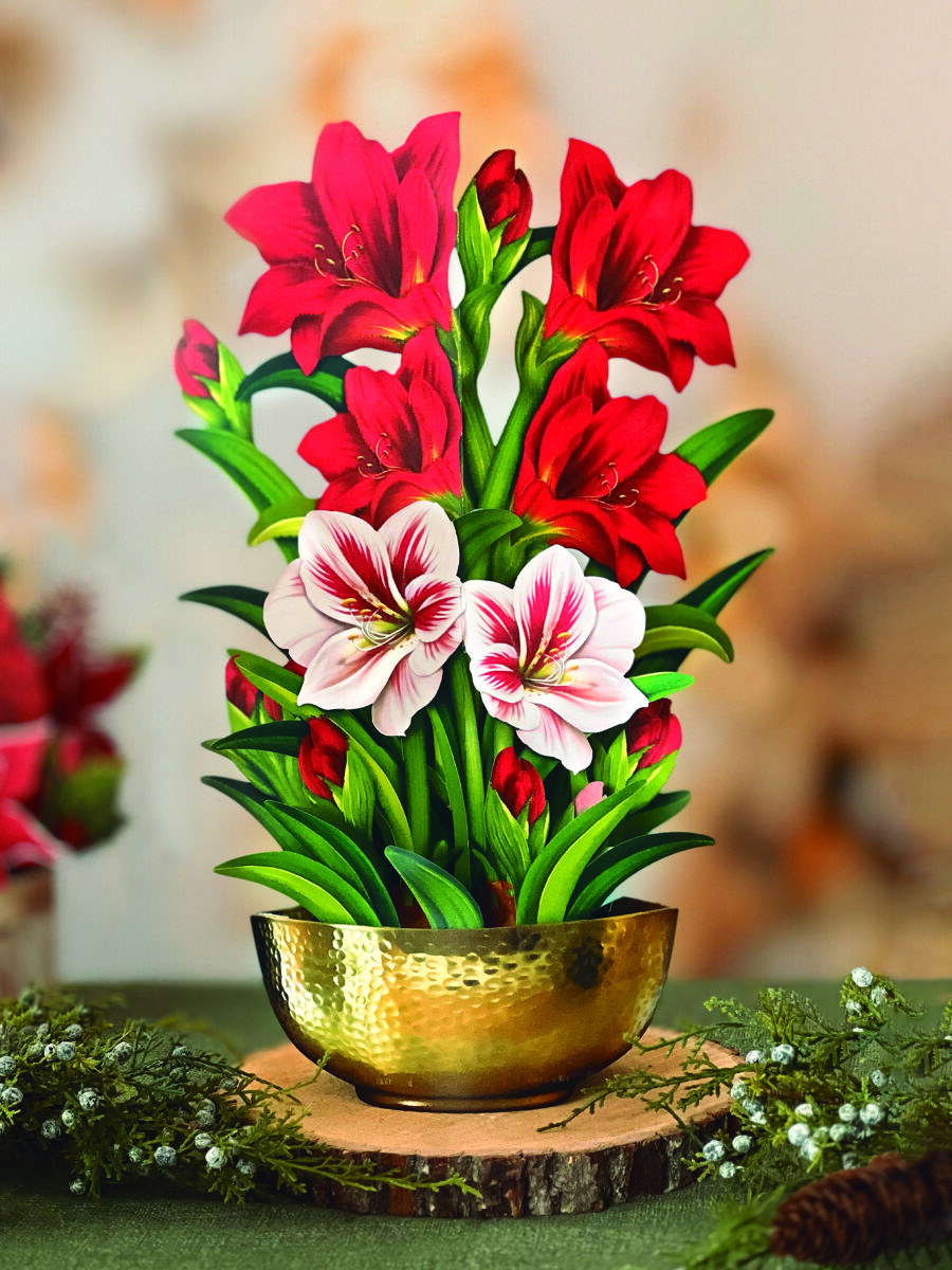 Papering the holiday – for the good of the planet 