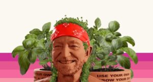 https://westfaironline.com/wp-content/uploads/2023/12/willie-nelson-chia-300x160.jpg