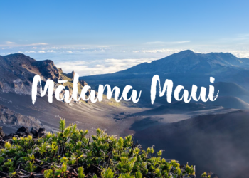 Maui no ka oi – ‘Maui is the best’