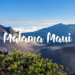 Maui no ka oi – ‘Maui is the best’