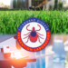 Western Connecticut State University seeks help to track ticks