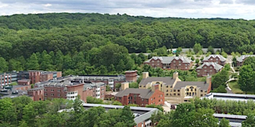 Quinnipiac Poll finds Americans split on democracy