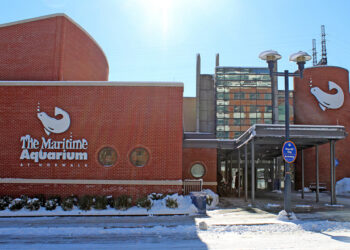 Maritime Aquarium valuable asset for state per new report