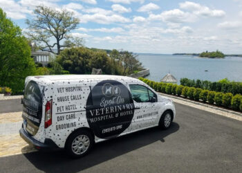 New spot for veterinary care in Westport