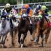 Fascinating Kentucky Derby Block Party planned for Wall Street