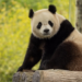 U.S. and world news for May 29