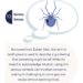 An annoying buzz: survey reveals workers least favorite jargon