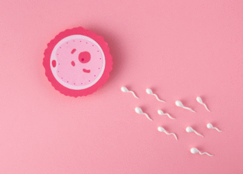 The 411 on IVF