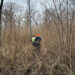 PROTECTING PRECIOUS LAND