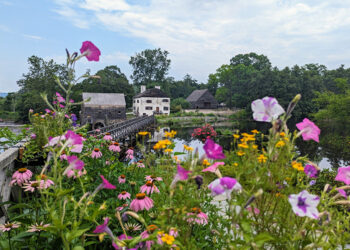 New ‘Global Grains’ event to spotlight Hudson Valley businesses