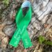 12 years after tragic shooting Sandy Hook survivors graduate High School