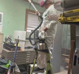 Greenwich mold lawsuit highlights importance of expert inspection