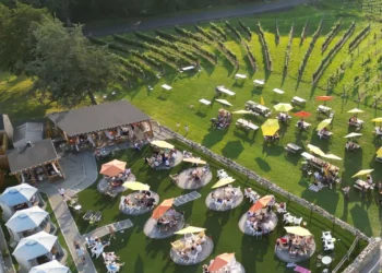 Representative Hayes and USDA Deputy Secretary Torres Small visit Sandy Hook vineyard
