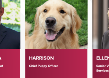 Stamford Health appoints canine to C-suite