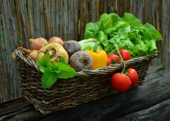 Bridgeport Hospital hosts Smith’s Acres to treat hunger