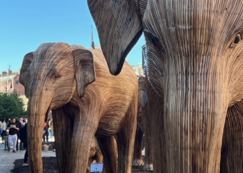 Elephants on the march in Manhattan