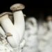 U.S. and world news for September 4