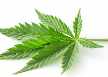 Pound Ridge resident challenges cannabis sales decision