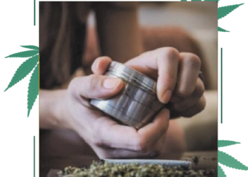 New Rochelle’s first woman-owned adult cannabis dispensary