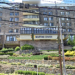 White Plains rehab and nursing center named in AG $45M settlement