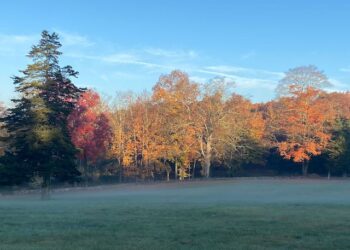 The Westchester Land Trust, connecting people to nature