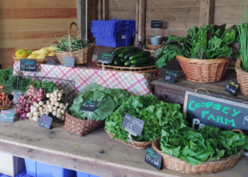 Rockland Farm Alliance seeks to liquidate Cropsey Community Farm