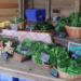 Rockland Farm Alliance seeks to liquidate Cropsey Community Farm
