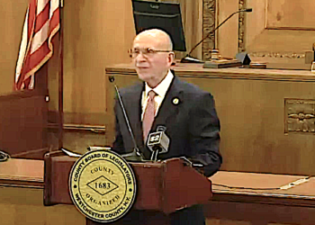Wishnie named acting county executive