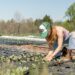 best farmers market in westchester