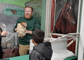Morning snow on the ground hints groundhogs and the Westchester weather-predicting chicken got it right: VIDEO
