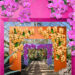 Savor Mexican food, night life in NYBG’s ‘Orchid Show’