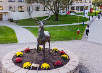 Fairfield University’s Class of 2029 sets admissions record