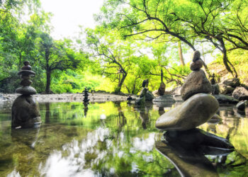 REFRAMING THOUGHT ABOUT THE NATURAL TRANSITION OF MIDLIFE