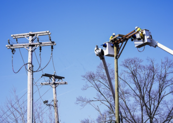 UI installs osprey platforms in Fairfield, Stratford